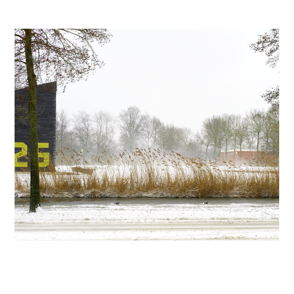 Westerpark in de sneeuw