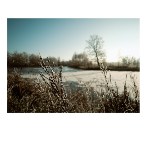 Ijs op het meer in de Grutte Wielen